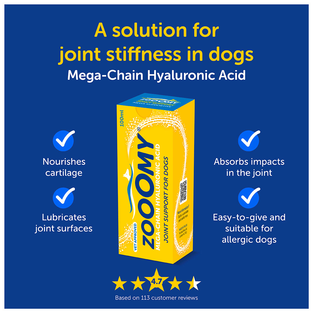 CaniFlow/Zooomy Hyaluronic Acid Joint Support for Dogs